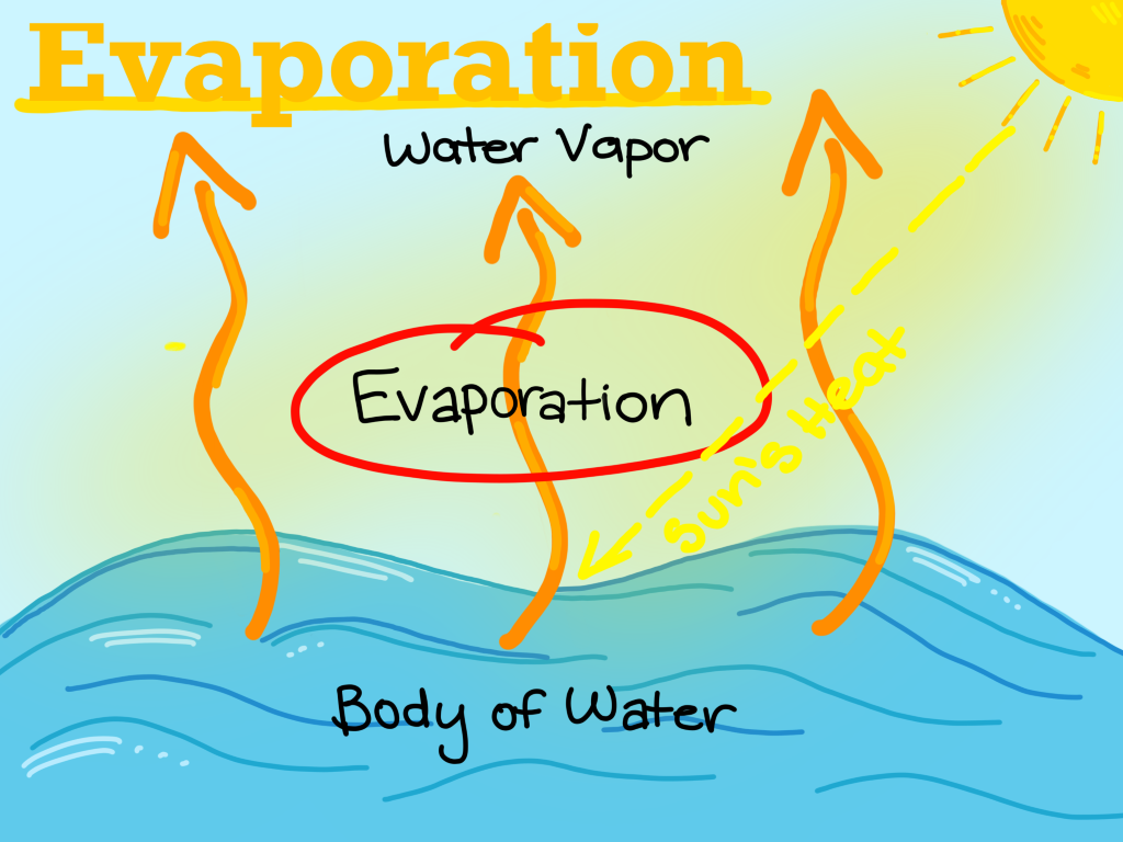 water cycle evaporation assignment